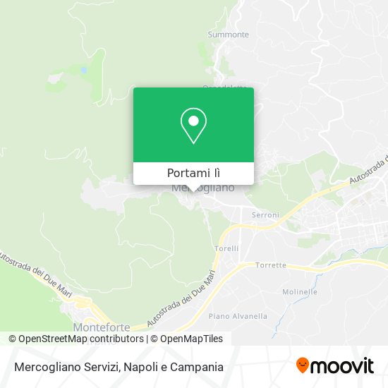 Mappa Mercogliano Servizi