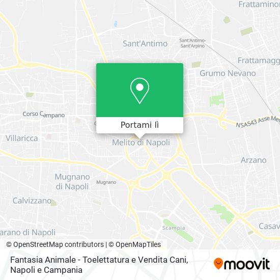 Mappa Fantasia Animale - Toelettatura e Vendita Cani