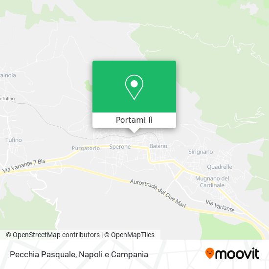 Mappa Pecchia Pasquale