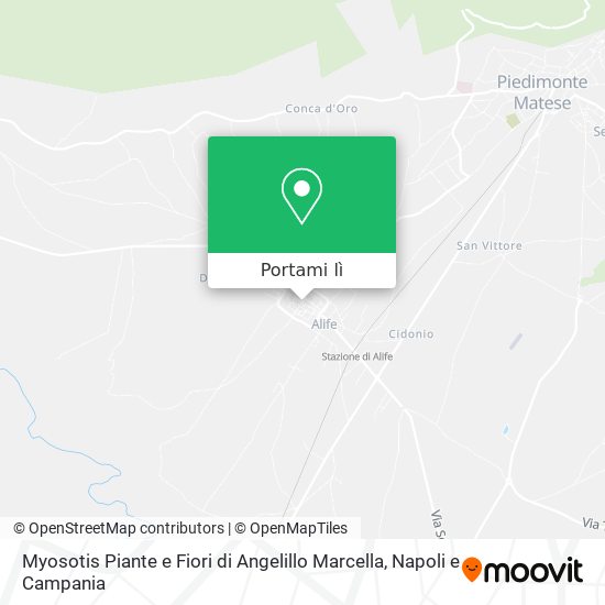 Mappa Myosotis Piante e Fiori di Angelillo Marcella