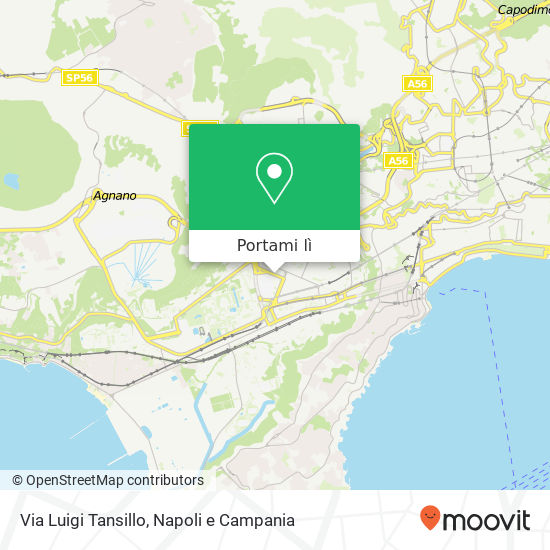 Mappa Via Luigi Tansillo