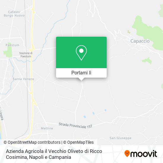 Mappa Azienda Agricola il Vecchio Oliveto di Ricco Cosimina