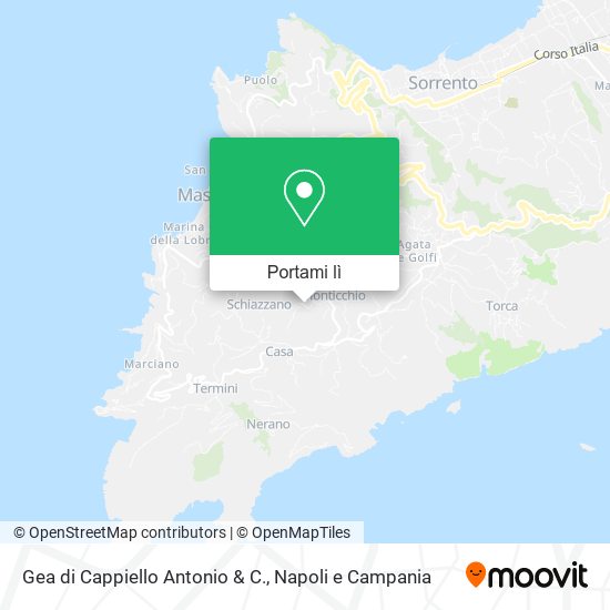 Mappa Gea di Cappiello Antonio & C.