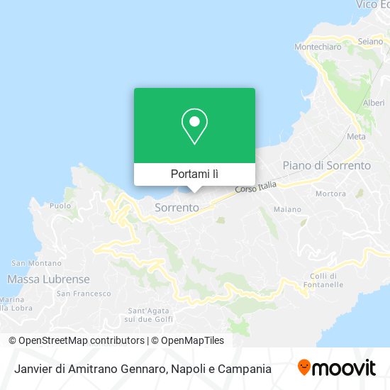 Mappa Janvier di Amitrano Gennaro