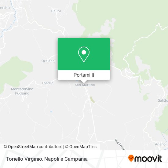 Mappa Toriello Virginio
