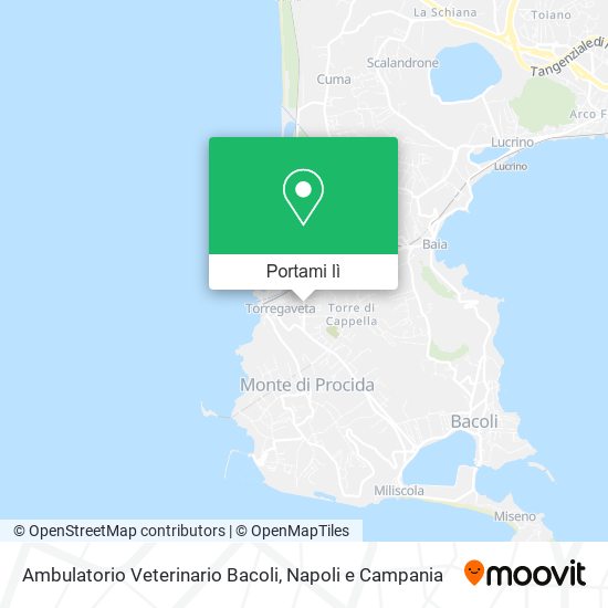 Mappa Ambulatorio Veterinario Bacoli