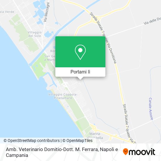 Mappa Amb. Veterinario Domitio-Dott. M. Ferrara