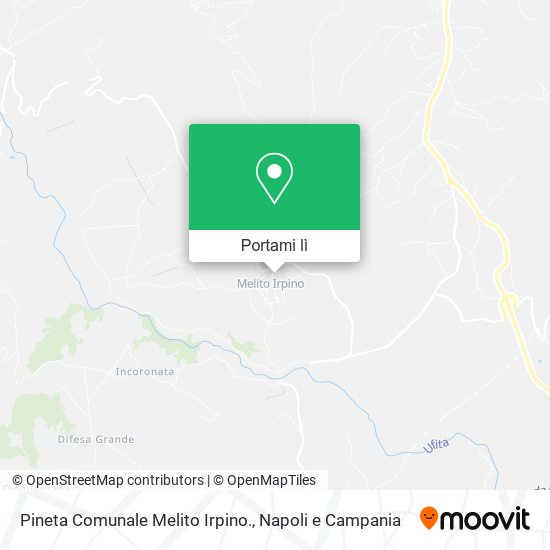 Mappa Pineta Comunale Melito Irpino.