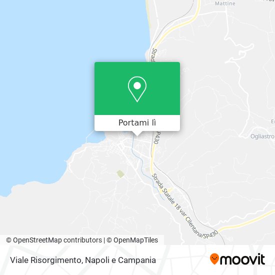 Mappa Viale Risorgimento