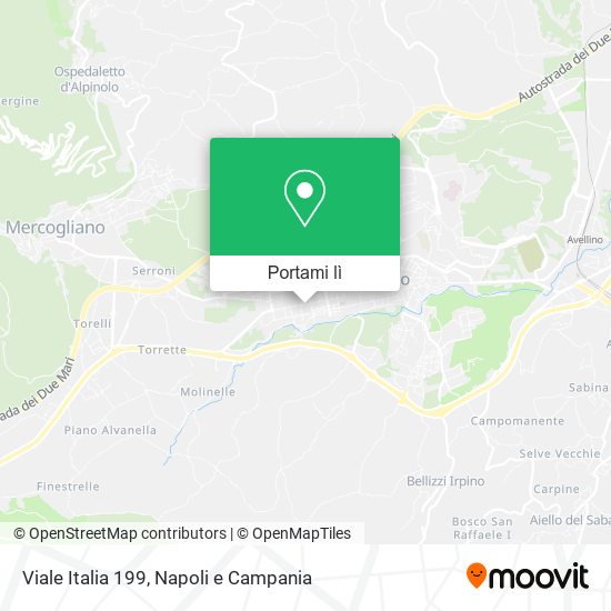 Mappa Viale Italia  199