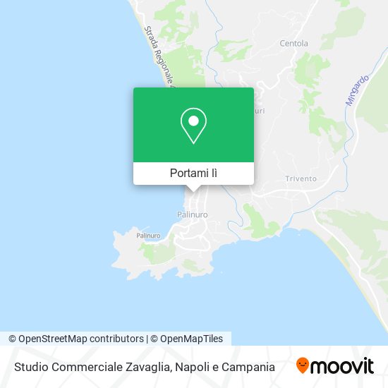 Mappa Studio Commerciale Zavaglia