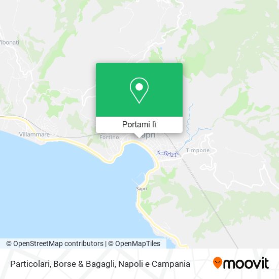 Mappa Particolari, Borse & Bagagli