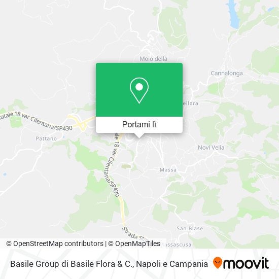 Mappa Basile Group di Basile Flora & C.