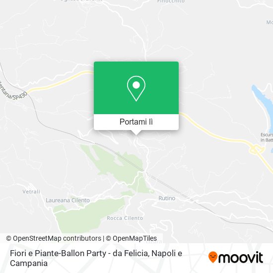 Mappa Fiori e Piante-Ballon Party - da Felicia