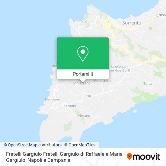 Mappa Fratelli Gargiulo Fratelli Gargiulo di Raffaele e Maria Gargiulo