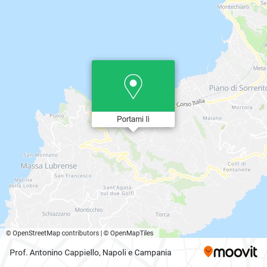 Mappa Prof. Antonino Cappiello