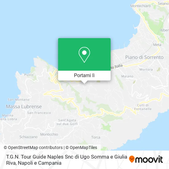 Mappa T.G.N. Tour Guide Naples Snc di Ugo Somma e Giulia Riva