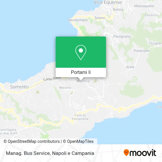 Mappa Manag. Bus Service