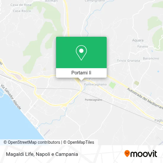 Mappa Magaldi Life