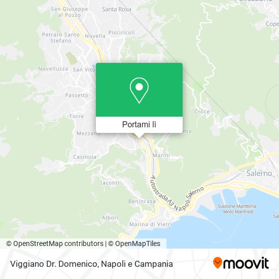 Mappa Viggiano Dr. Domenico