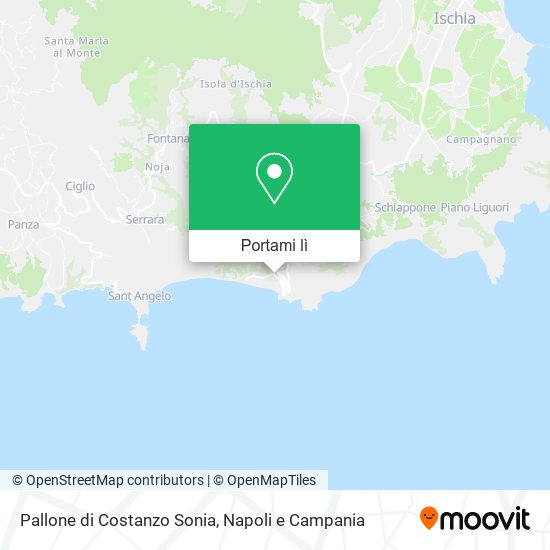 Mappa Pallone di Costanzo Sonia