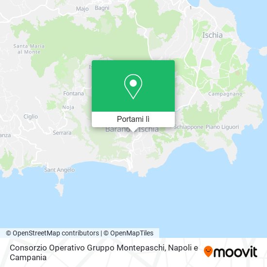 Mappa Consorzio Operativo Gruppo Montepaschi