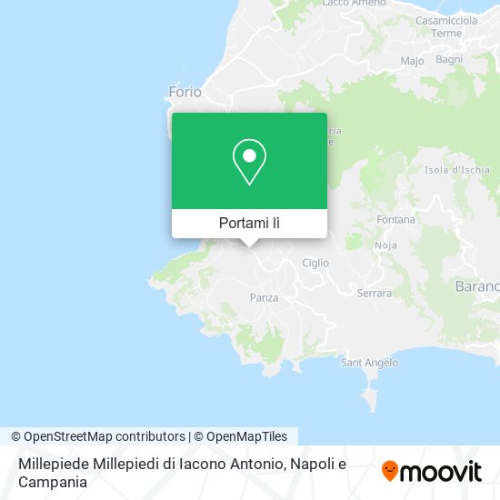 Mappa Millepiede Millepiedi di Iacono Antonio