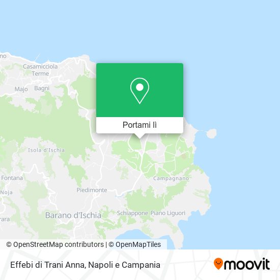 Mappa Effebi di Trani Anna