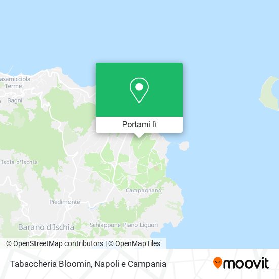 Mappa Tabaccheria Bloomin