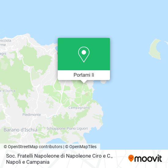 Mappa Soc. Fratelli Napoleone di Napoleone Ciro e C.