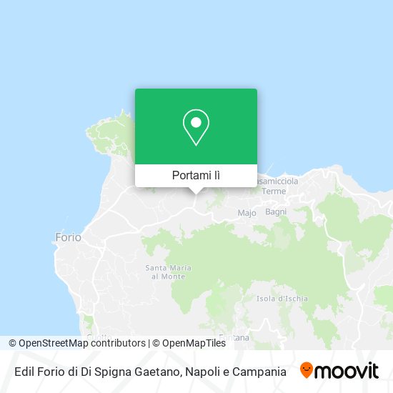 Mappa Edil Forio di Di Spigna Gaetano