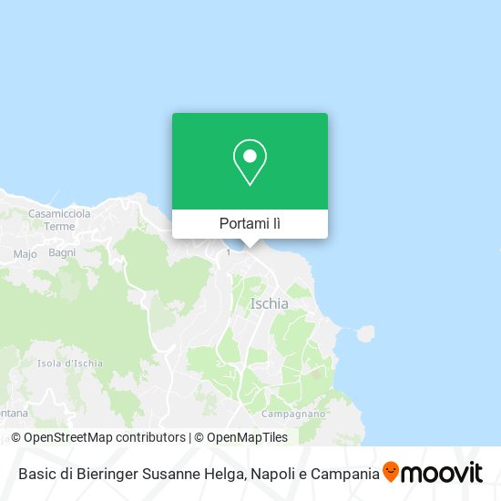 Mappa Basic di Bieringer Susanne Helga