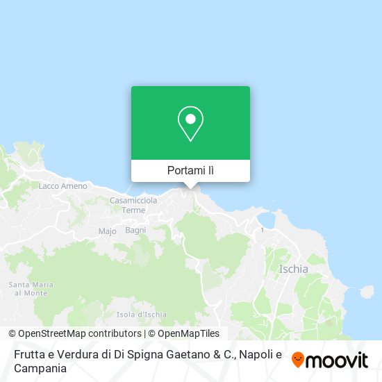 Mappa Frutta e Verdura di Di Spigna Gaetano & C.