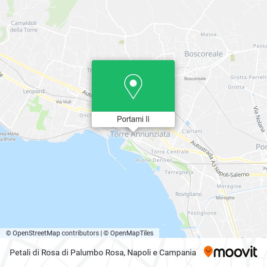 Mappa Petali di Rosa di Palumbo Rosa