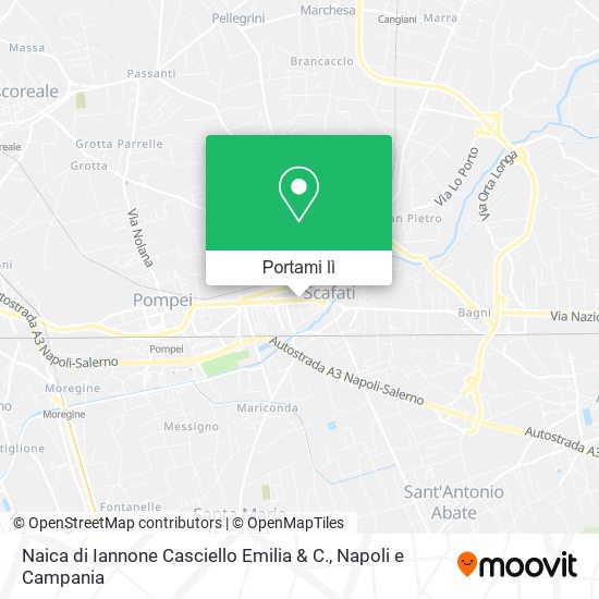 Mappa Naica di Iannone Casciello Emilia & C.