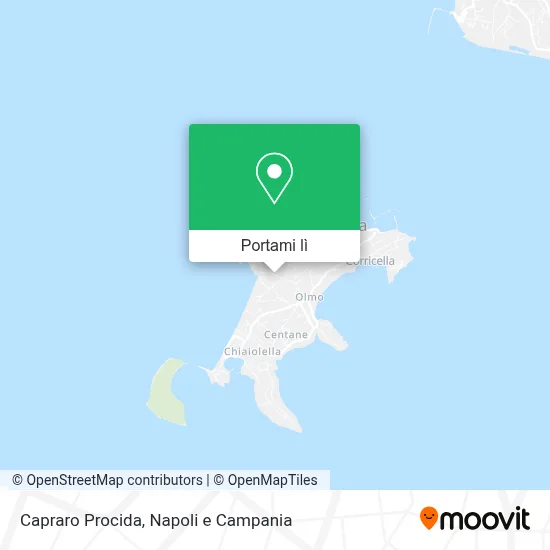 Mappa Capraro Procida