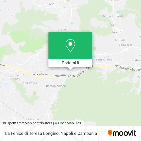 Mappa La Fenice di Teresa Longino