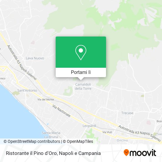 Mappa Ristorante il Pino d'Oro