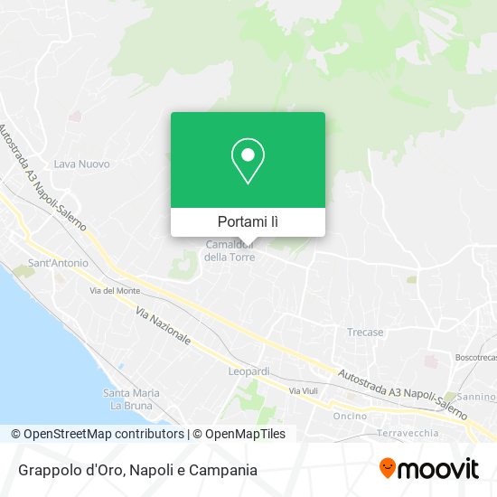 Mappa Grappolo d'Oro