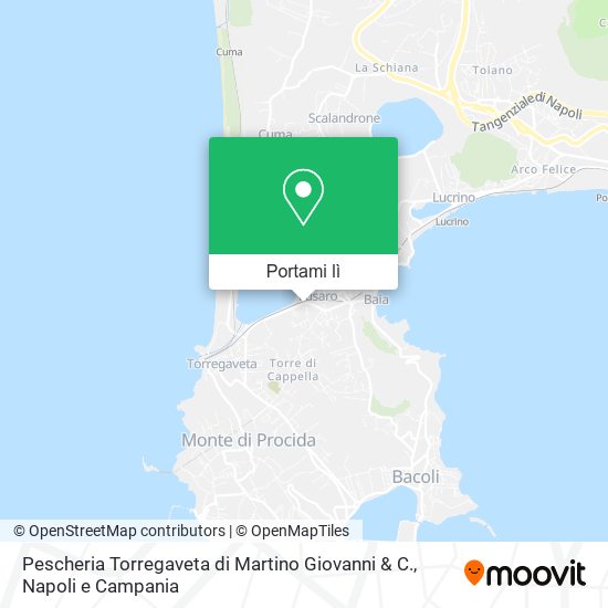 Mappa Pescheria Torregaveta di Martino Giovanni & C.