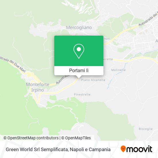 Mappa Green World Srl Semplificata