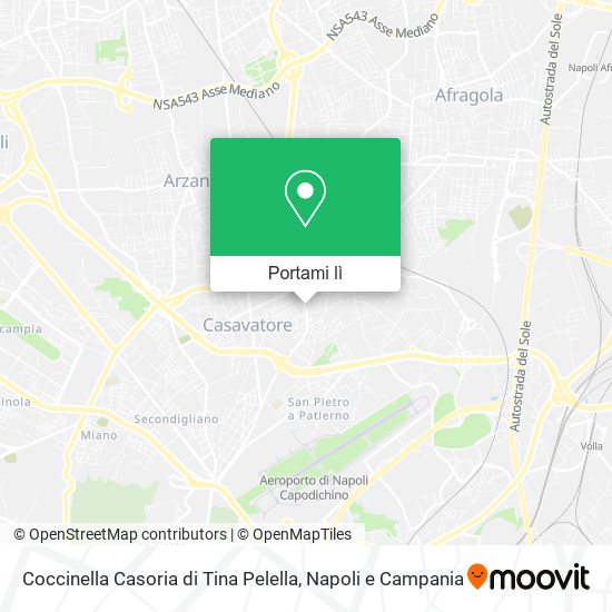 Mappa Coccinella Casoria di Tina Pelella