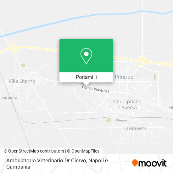 Mappa Ambulatorio Veterinario Dr Ciervo