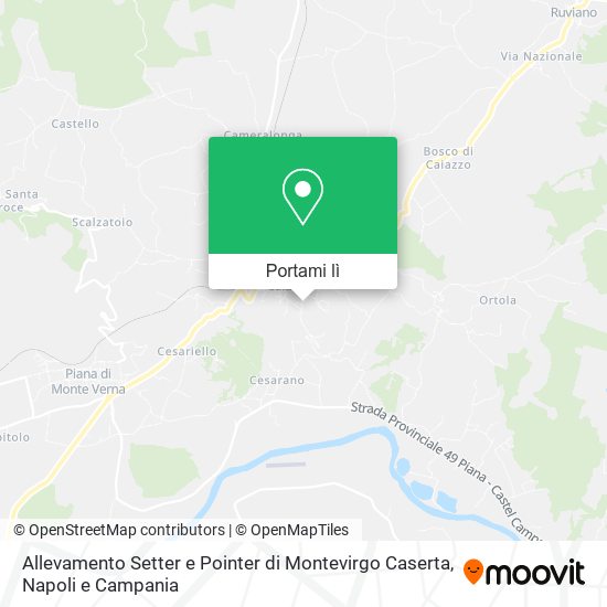 Mappa Allevamento Setter e Pointer di Montevirgo Caserta