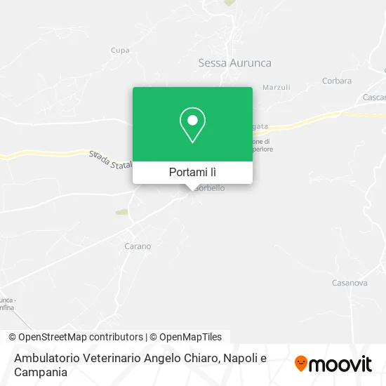 Mappa Ambulatorio Veterinario Angelo Chiaro