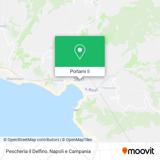 Mappa Pescheria il Delfino