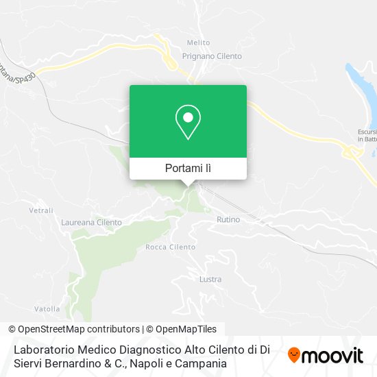 Mappa Laboratorio Medico Diagnostico Alto Cilento di Di Siervi Bernardino & C.