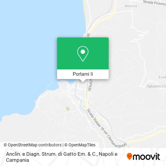 Mappa Anclin. e Diagn. Strum. di Gatto Em. & C.