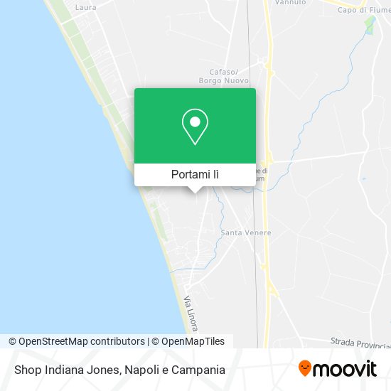 Mappa Shop Indiana Jones