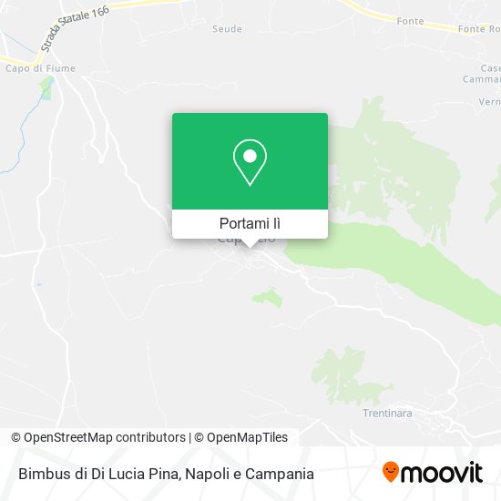 Mappa Bimbus di Di Lucia Pina